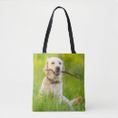 Recherche de extraction sacs Dog