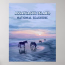 Recherche de poney posters Toute personne