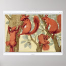 Recherche de animaux sauvages vintages posters Illustration