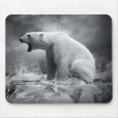 Recherche de ours blanc tapis souris Animal