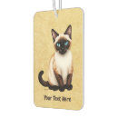 Recherche de chaton voiture accessoires Animaux domestiques
