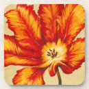Recherche de tulipe dessous de verres Fleurs