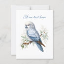 Recherche de jolis oiseaux cartes postales Hiver