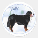 Recherche de berner autocollants Dog