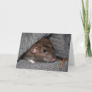 Recherche de brun toutes vœux cartes Animal