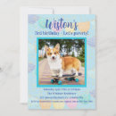Recherche de propriétaire invitations Pour animaux