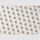 Recherche de absorbant Famille