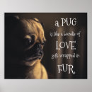Recherche de pug posters Puppy