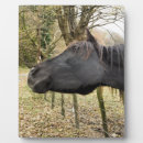 Recherche de cheval plaques Animal