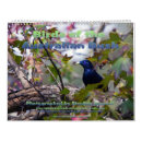 Recherche de oiseau calendriers Photos