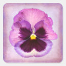 Recherche de rose pourpre autocollants Beau
