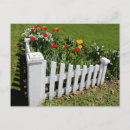 Recherche de tulipe cartes postales La nature