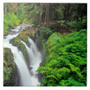 Recherche de chutes carreaux Forêt tropicale