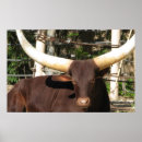 Recherche de klaxons art Vache