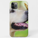 Recherche de chien papillon iphone coques Animaux