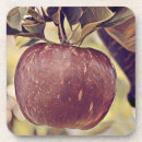 Recherche de peinture pomme de dessous de verres Panier