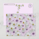 Recherche de marguerite rose cartes postales Floral