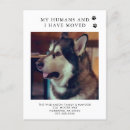 Recherche de amoureux des chiens invitations Mignon