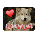 Recherche de de beaux magnets Amour