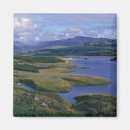 Recherche de gary magnets Nature