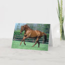 Recherche de cheval de pur sang vœux cartes Ranch