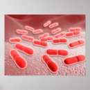 Recherche de microscopique posters Médical