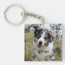 Recherche de australian shepherd porteclés Amoureux des chiens