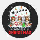 Recherche de shetland autocollants Noël