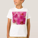 Recherche de phalaenopsis Nature