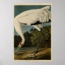 Recherche de illustrated posters Illustration