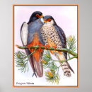 Recherche de perche posters Illustration