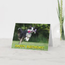 Recherche de border collie anniversaire cartes Chien