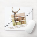 Recherche de cerf tapis souris Faune