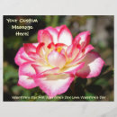 Recherche de saint valentin prospectus Rose