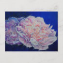 Recherche de poney de peinture cartes postales Rose