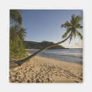 Recherche de mahe magnets Seychelles