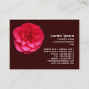 Recherche de camel cartes visite Moderne