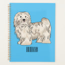 Recherche de bichon bureau fournitures Havanais