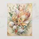 Recherche de plage de coquillages cartes postales Pour tous