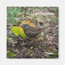 Recherche de passerelle magnets Nature