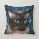 Recherche de siamois chat coussins Animal familier