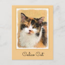 Recherche de chat original cartes postales Calico