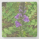 Recherche de pointu dessous de verres Nature
