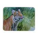 Recherche de animaux menacés magnets Faune