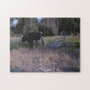 Recherche de longhorn puzzles Bétail