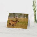Recherche de yellowstone vœux cartes Cervus canadensis