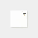 Recherche de ostriches posters Animaux