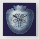 Recherche de coquilles de mer horloges Coquillages