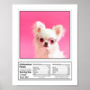 Recherche de race chien posters Chiot
