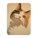 Recherche de cat magnets Calico